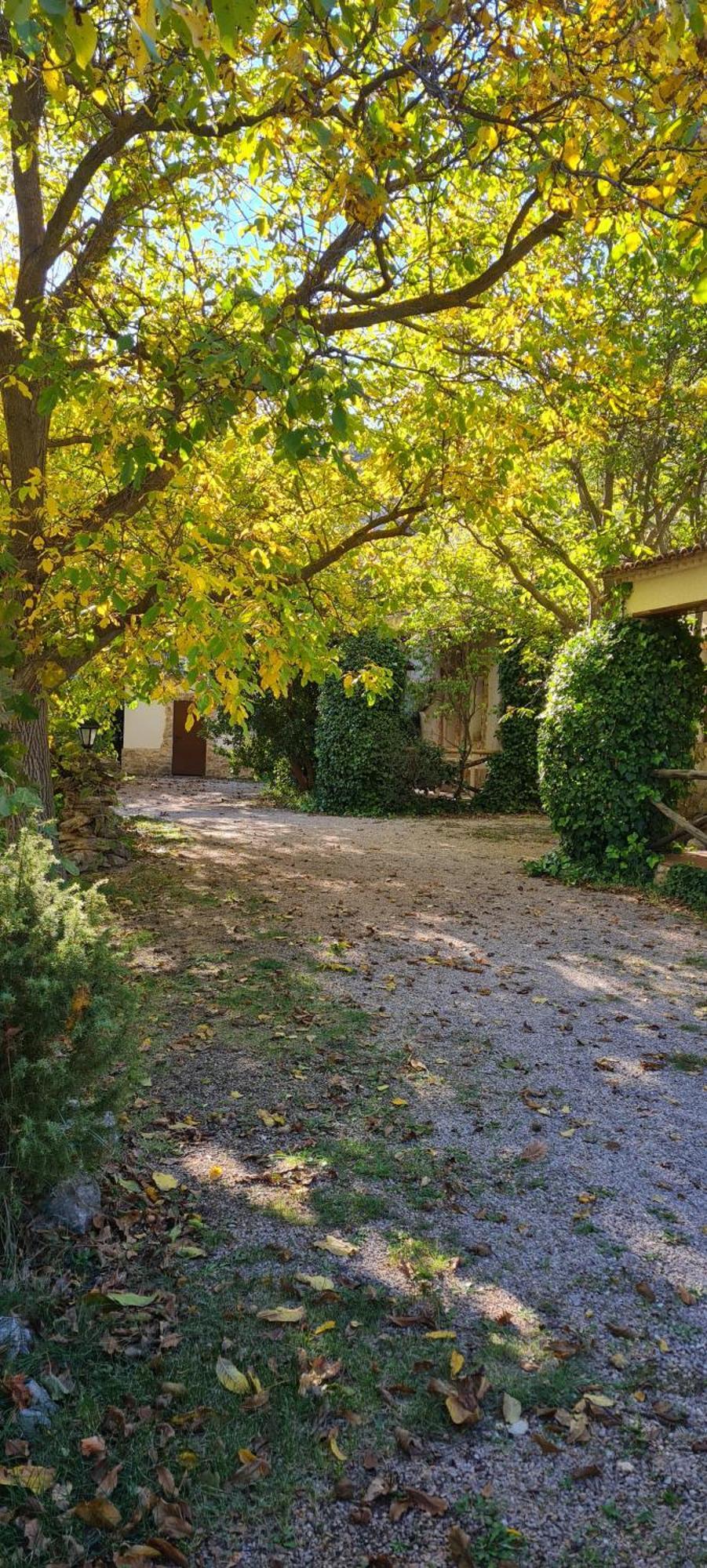 Casas Rurales Los Enebros Nerpio Esterno foto
