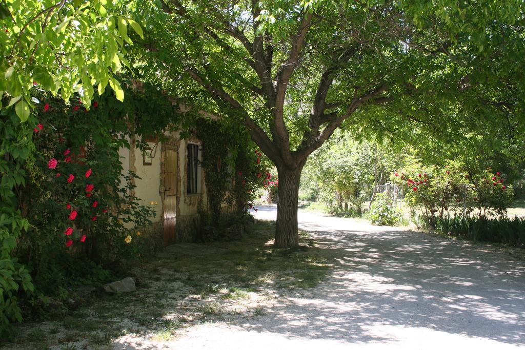 Casas Rurales Los Enebros Nerpio Esterno foto