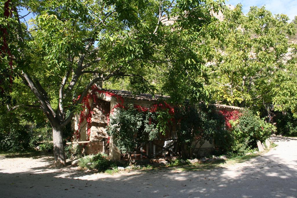 Casas Rurales Los Enebros Nerpio Esterno foto