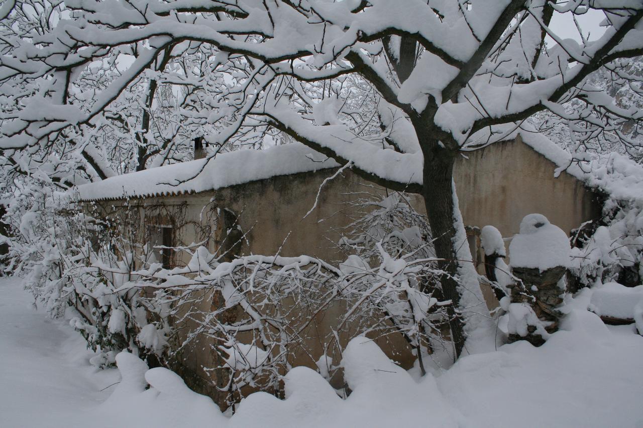 Casas Rurales Los Enebros Nerpio Esterno foto